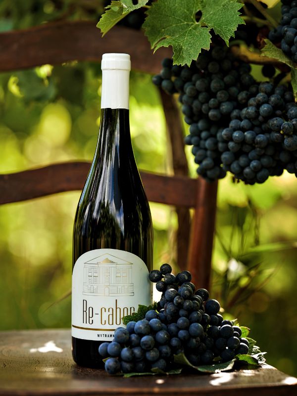 winnica-lubelska-wino-gronowe